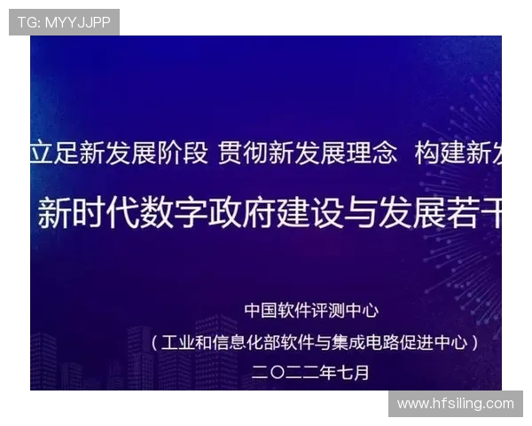 狼堡中路渗透：分析城市交通新挑战及应对策略