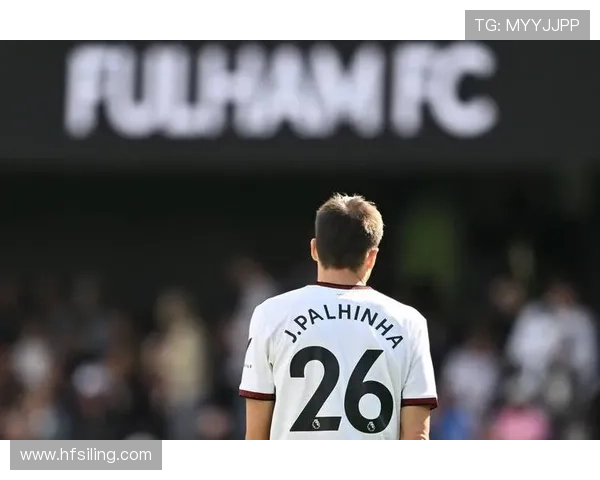 帕利尼亚与罗德里:防守型后腰与控场型后腰对比分析 帕利尼亚与罗德里:防守型后腰与控场型后腰对比分析